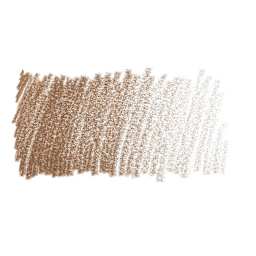 Faber-Castell Polychromos Pencil - Nougat swatch