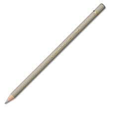Faber-Castell Polychromos Pencil - Warm Gray II