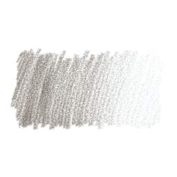 Faber-Castell Polychromos Pencil - Warm Gray III swatch