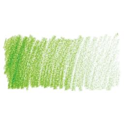 Faber-Castell Polychromos Pencil - Light Green swatch