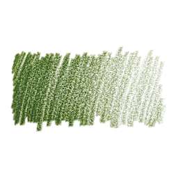 Faber-Castell Polychromos Pencil - Permanent Green Olive swatch