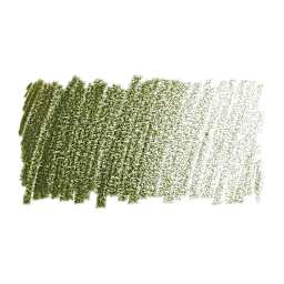 Faber-Castell Polychromos Pencil - Olive Green Yellowish swatch