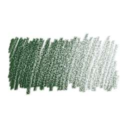 Faber-Castell Polychromos Pencil - Chrome Oxide Green swatch