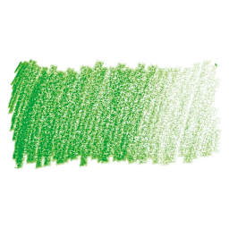 Faber-Castell Polychromos Pencil - Leaf Green swatch