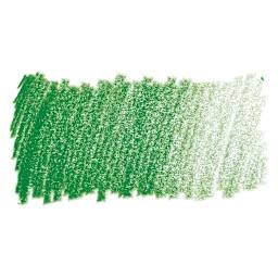 Faber-Castell Polychromos Pencil - Permanent Green swatch