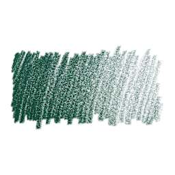 Faber-Castell Polychromos Pencil - Pine Green swatch