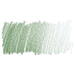 Faber-Castell Polychromos Pencil - Earth Green swatch