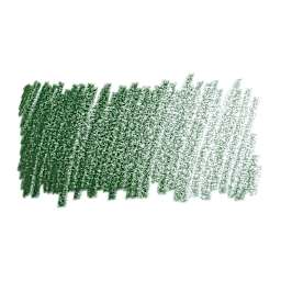 Faber-Castell Polychromos Pencil - Juniper Green swatch