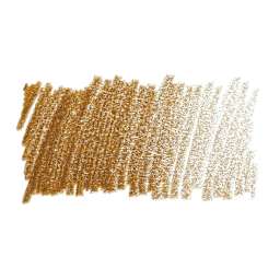 Faber-Castell Polychromos Pencil - Raw Umber swatch