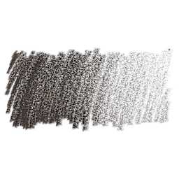 Faber-Castell Polychromos Pencil - Dark Sepia swatch