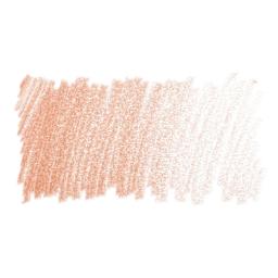 Faber-Castell Polychromos Pencil - Cinnamon swatch