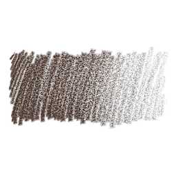 Faber-Castell Polychromos Pencil - Walnut Brown swatch