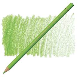 Faber-Castell Polychromos Pencil - Light Green pencil and swatch