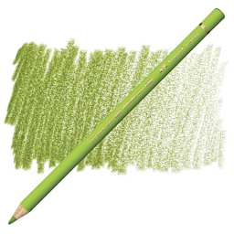 Faber-Castell Polychromos Pencil - May Green pencil and swatch