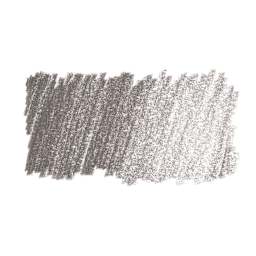 Faber-Castell Pitt Pastel Pencil - Warm Gray IV swatch