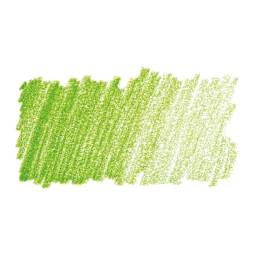 Faber-Castell Pitt Pastel Pencil - Earth Green Yellowish swatch