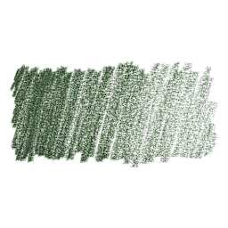 Faber-Castell Pitt Pastel Pencil - Juniper Green swatch