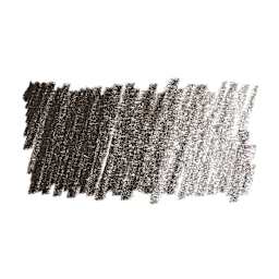 Faber-Castell Pitt Pastel Pencil - Dark Sepia swatch