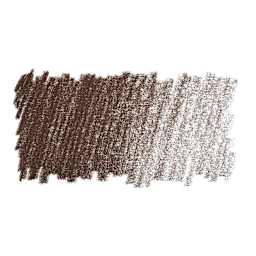 Faber-Castell Pitt Pastel Pencil - Walnut Brown swatch