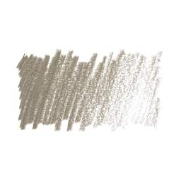 Cretacolor Fine Art Pastel Pencil - Green Gray swatch