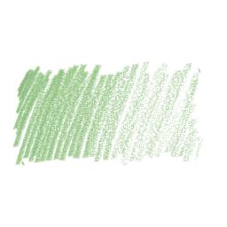 Cretacolor Fine Art Pastel Pencil - Light Green Earth swatch