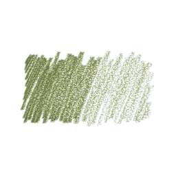 Cretacolor Fine Art Pastel Pencil - Dark Olive Green swatch