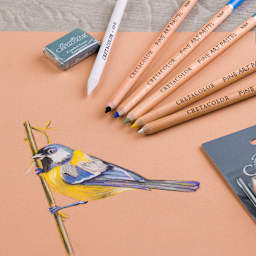 Fine Art Pastel Pencil Bird 7-Piece Set 7-Piece Set (5 Pencils, 1 Blending Stump, 1 Kneadable Eraser)