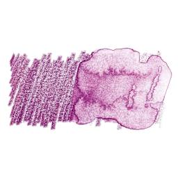 Faber-Castell Albrecht Durer Watercolor Pencil - Light Red-Violet swatch