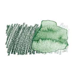 Faber-Castell Albrecht Durer Watercolor Pencil - Chrome Oxide Green swatch