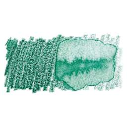 Faber-Castell Albrecht Durer Watercolor Pencil - Hooker's Green swatch