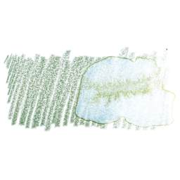 Faber-Castell Albrecht Durer Watercolor Pencil - Earth Green swatch