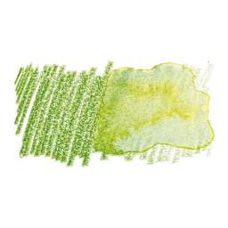 Faber-Castell Albrecht Durer Watercolor Pencil - Earth Green Yellowish swatch