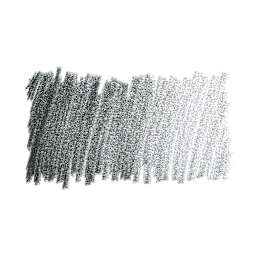 Caran d'Ache Pablo Colored Pencil - Black swatch