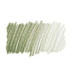 Caran d'Ache Pablo Colored Pencil - Olive Black swatch