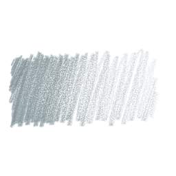 Caran d'Ache Pablo Colored Pencil - Steel Gray swatch