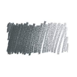 Caran d'Ache Pablo Colored Pencil - Greyish Black swatch