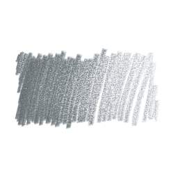 Caran d'Ache Pablo Colored Pencil - Gray swatch