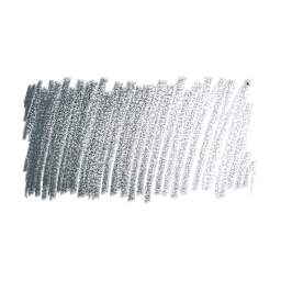Caran d'Ache Pablo Colored Pencil - Dark Gray swatch