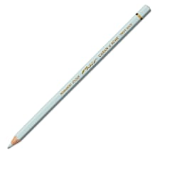 Caran d'Ache Pablo Colored Pencil - Silver Gray