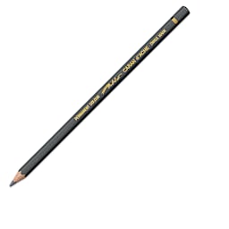 Caran d'Ache Pablo Colored Pencil - Slate Gray