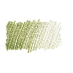 Caran d'Ache Pablo Colored Pencil - Olive Gray swatch