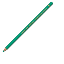 Caran d'Ache Pablo Colored Pencil - Grayish Green