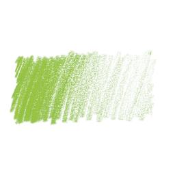 Caran d'Ache Pablo Colored Pencil - Yellow Green swatch