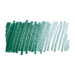 Caran d'Ache Pablo Colored Pencil - Dark Green swatch