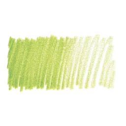 Caran d'Ache Pablo Colored Pencil - Lime Green swatch