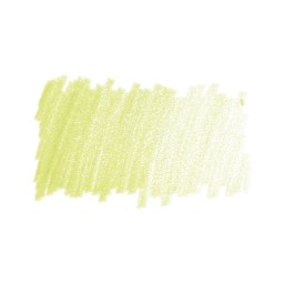 Caran d'Ache Pablo Colored Pencil - Spring Green swatch