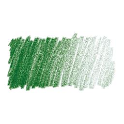 Caran d'Ache Pablo Colored Pencil - Spruce Green swatch