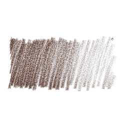 Caran d'Ache Pablo Colored Pencil - Bistre swatch