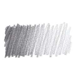 Caran d'Ache Pablo Colored Pencil - Silver swatch