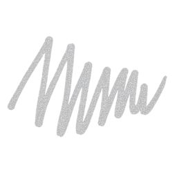 Pilot Silver Marker - Silver, Medium Point swatch